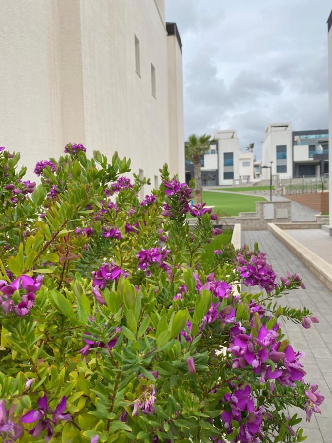 Oasis Appartement Alicante