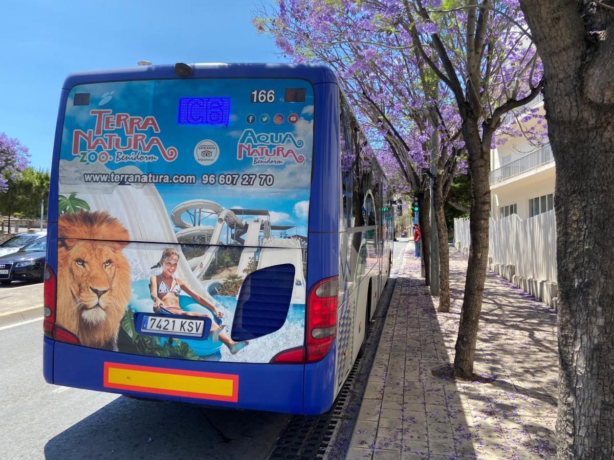 Apartamento San Carlos Ii