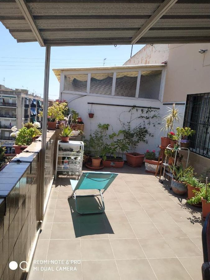 Aticoalikante Alicante