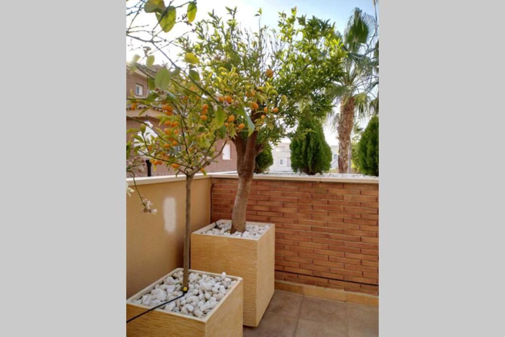 Fantastico Bungalow Oceano, Primera Linea De Playa