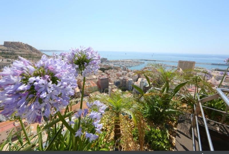 Apartment Luceros Sea View Apts -with Balcony- City&beach