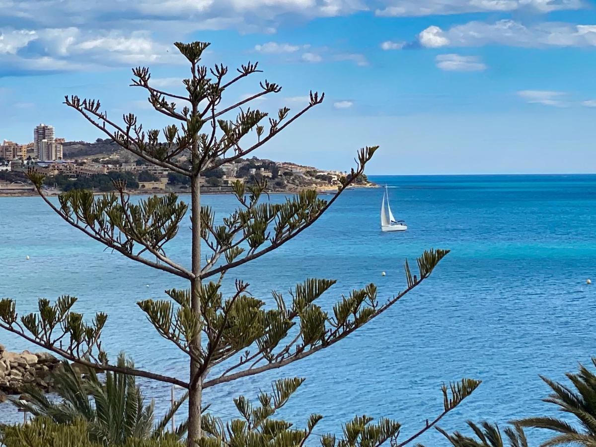 13 Rocafel 7 Playa Albufereta *