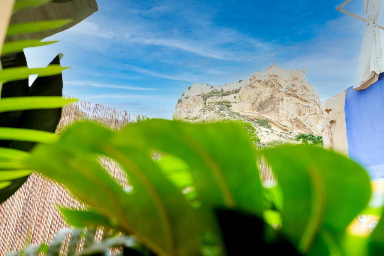 Vakantiehuis Moonkey - Casa Toledo *