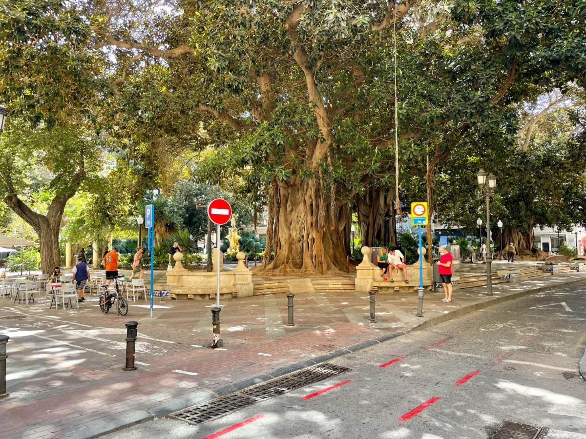 Con Mucho Encanto En Pleno Centro Huoneisto *