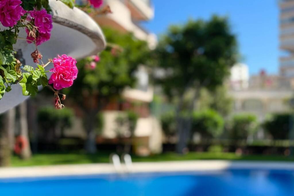 Encantador Y Coqueto Loft A 8 Min. De La Playa. Appartement