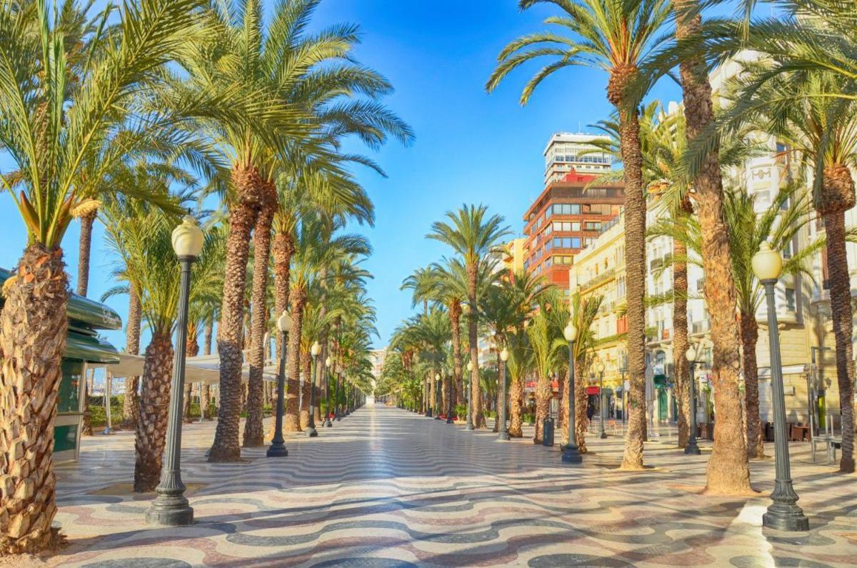 R-3- комната в квартире для 1 человек в центре Homestay Alicante