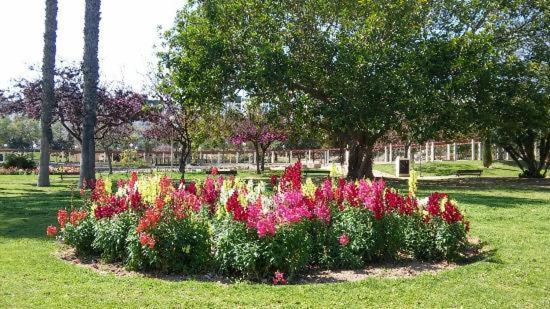 27-4-bj- 2 Personas Homestay Alicante