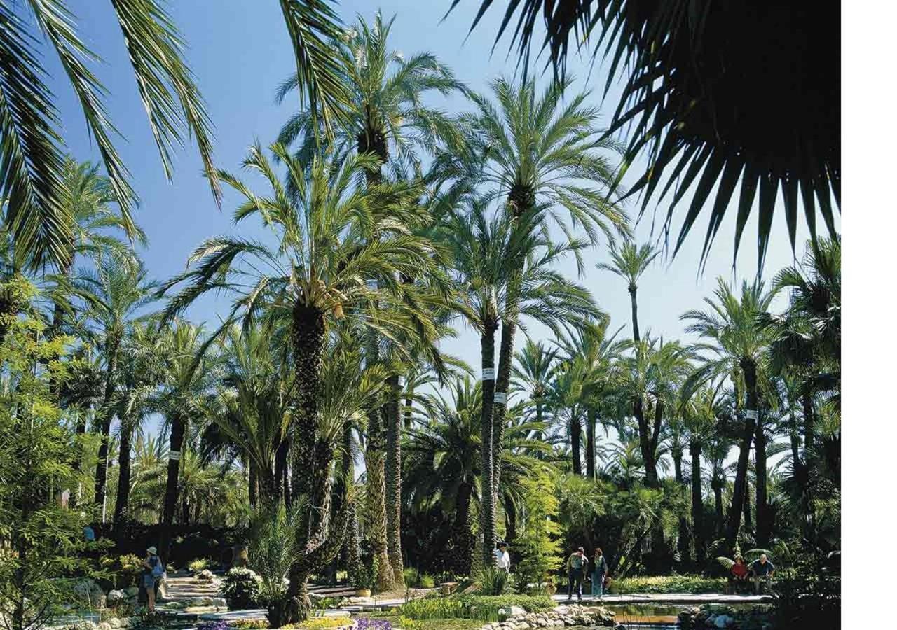 Huoneisto Luxury New Centre & Beach, Alicante