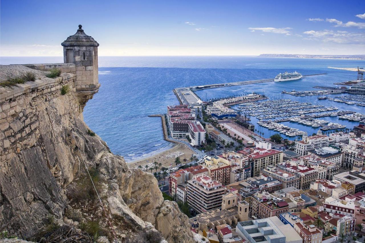Cozy Design Alicante