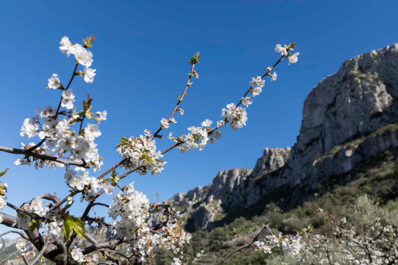 Hotel El Capricho Beniali (Adults Only) 4* Alicante