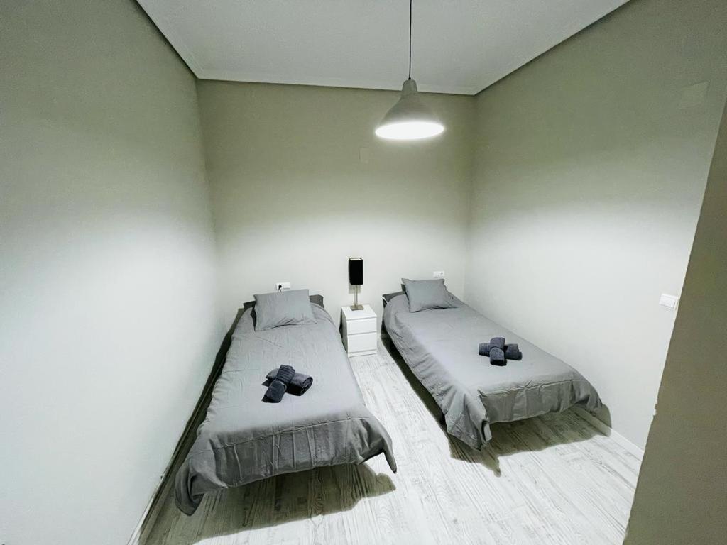 Apartment Amazon Gam