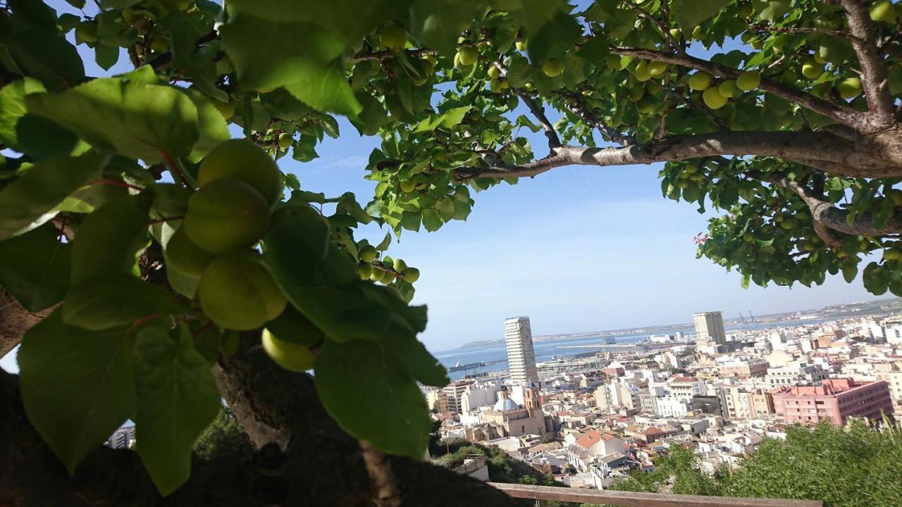 Cerca Playa-aa-patio Privado Alicante