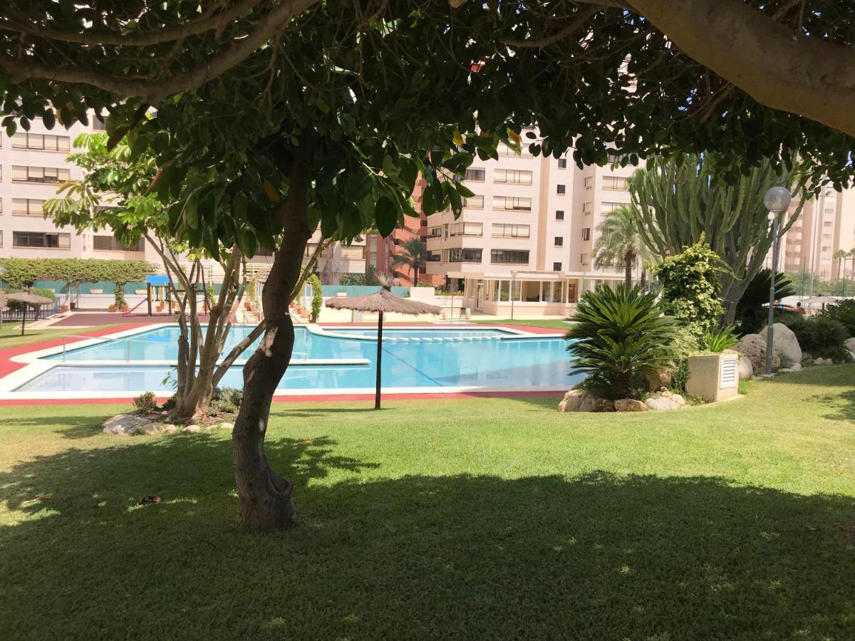 Playa Dos Avenidas Appartement *