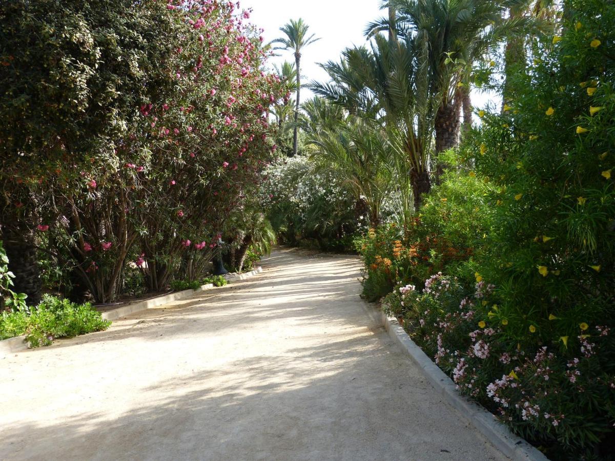Very Flat Ust 800m Postiguet-beach Apartamento