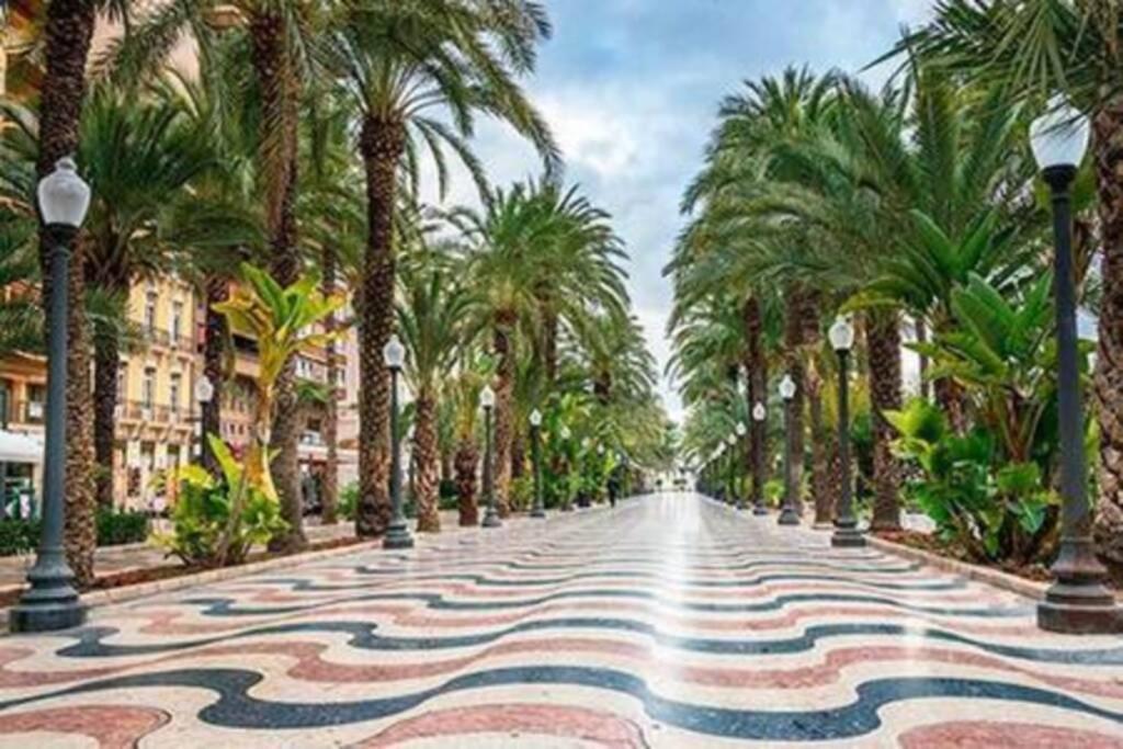 Boutique Centrico A 5 Min Playa Apartment