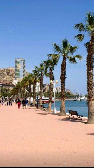 Comfortable And Spacious 3 Bedroom Apartment *