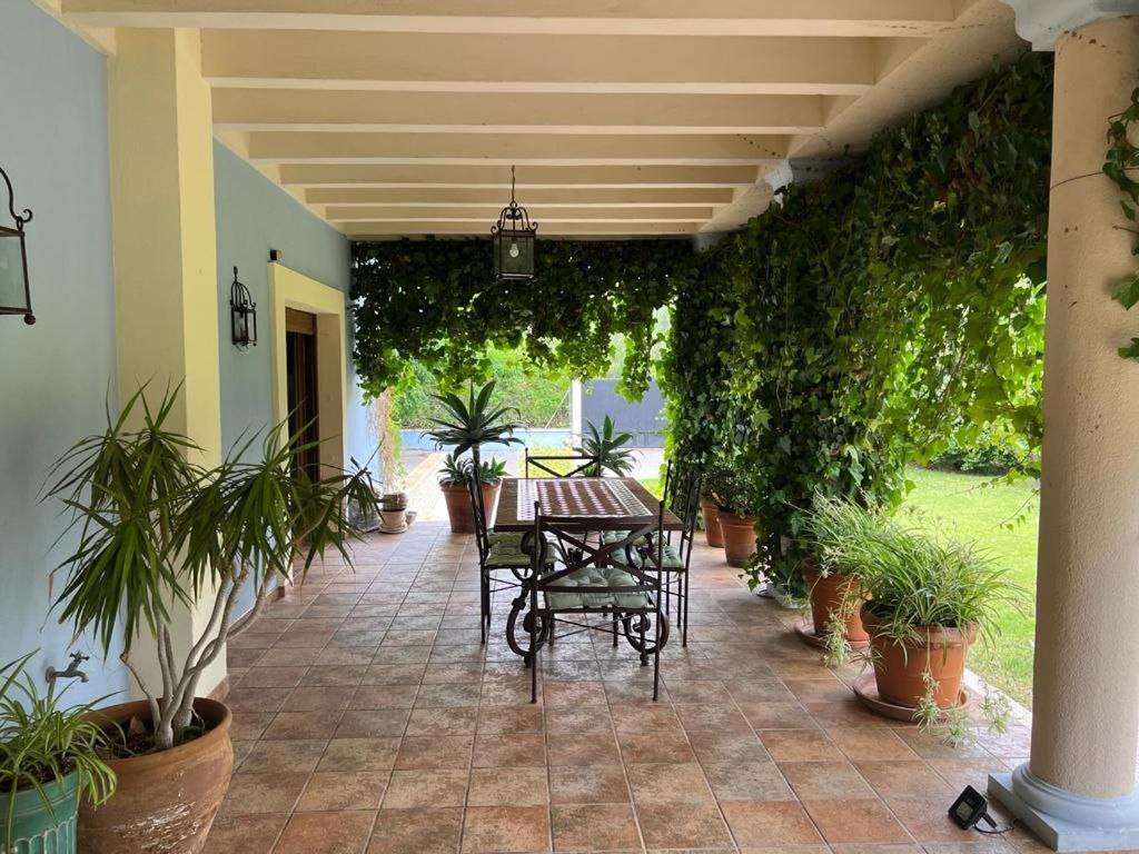 Ca Toni Villa Alicante