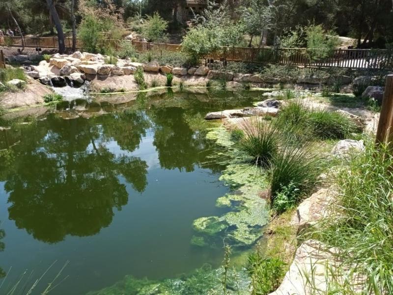 Eco Costa Blanca Campsite *