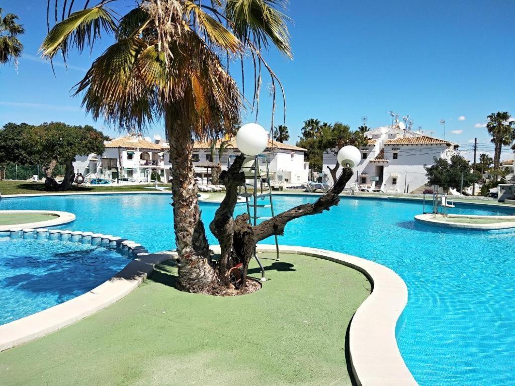 Charmant Rez-de-chaussee Et Piscine Bar-restaurant Apartment