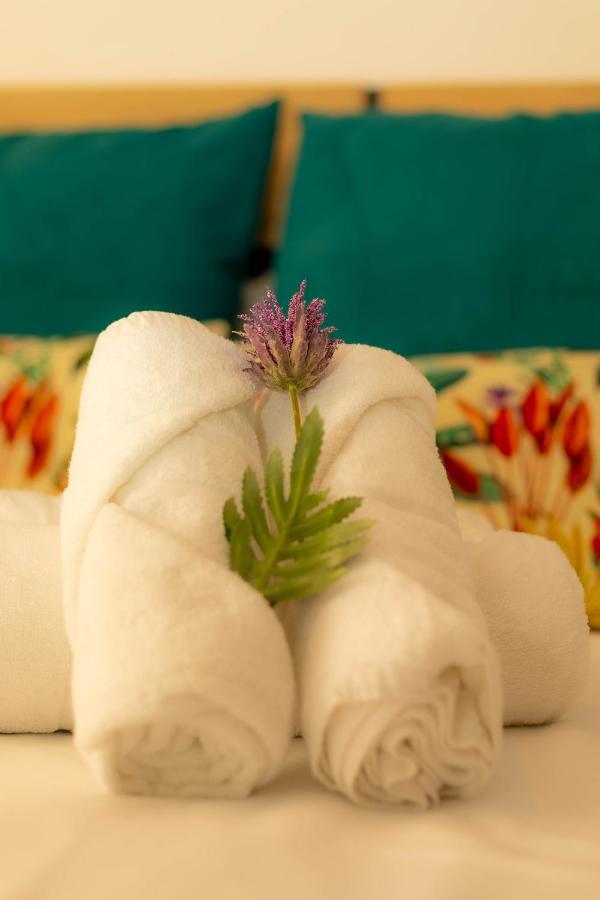 Ventura Premium Guest house *