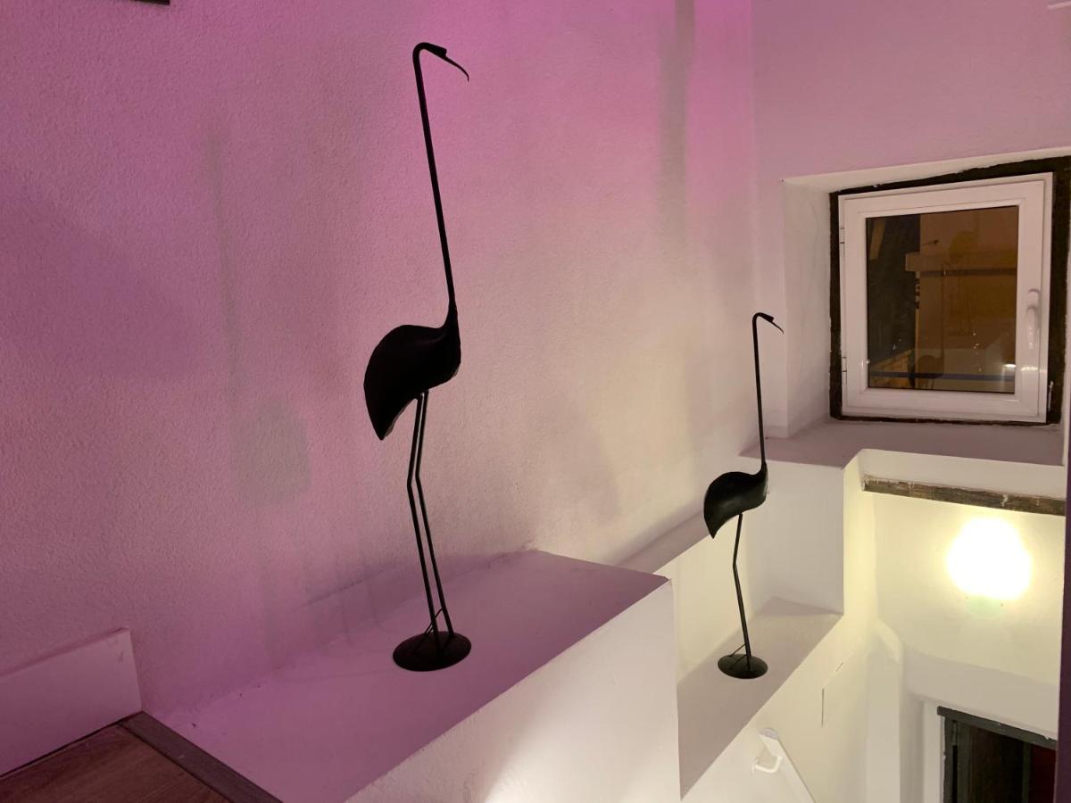 Casita Del Flamingo En Casco Historico *