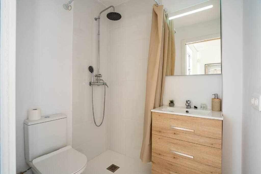 Dirdam Cascoantiguo -roof -4 Min Playa Apartment Alicante