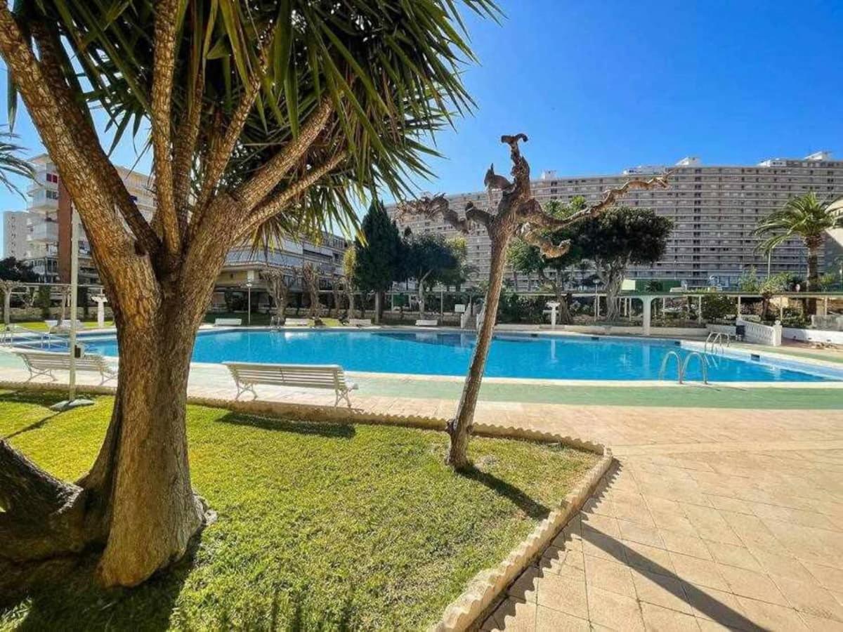 Huoneisto Muy Luminoso, Con Piscina Y A 5 Min De La Playa. *