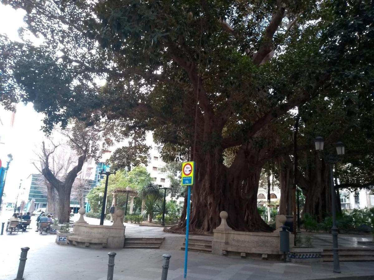 La Estrella De Apartamento *