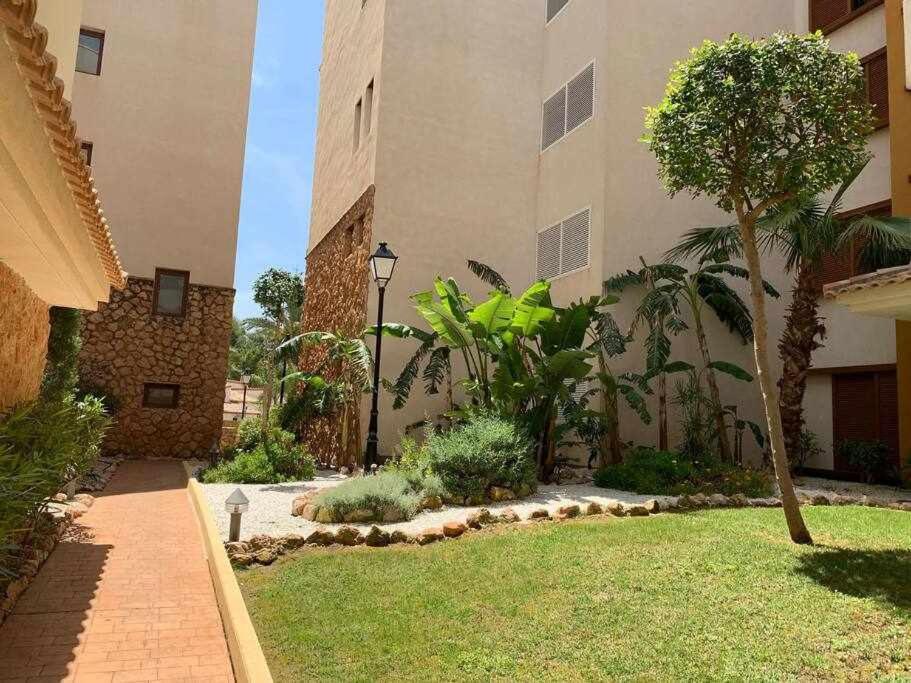 Magnifico A 500 M De La Playa Apartamento Alicante
