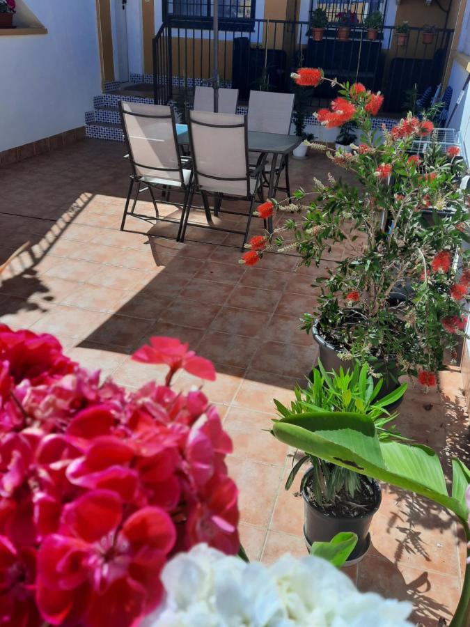 Appartement Bahia Apartament *