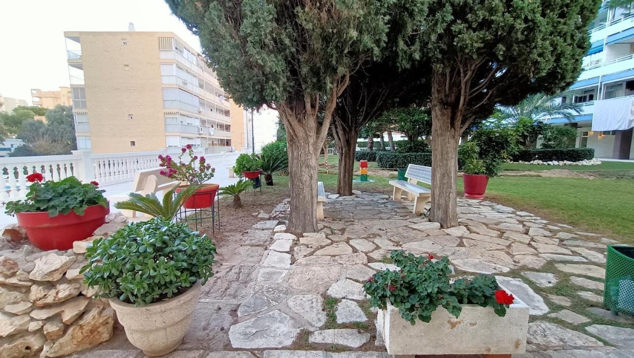 Holidays At My Spanish Grandma Accommodatie bij particulieren Alicante