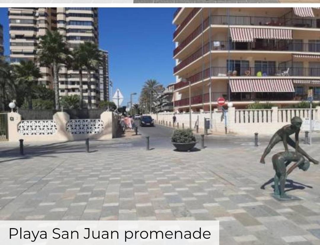 Entero En La Playa San Juan Benacantil * Alicante