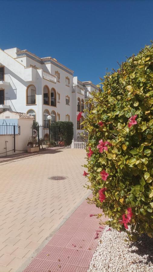 La Zenia Molino Blanco Alicante