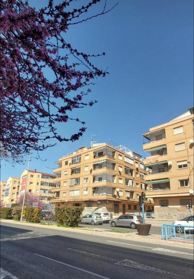 Sidi Ifni 7-9-2 Alicante