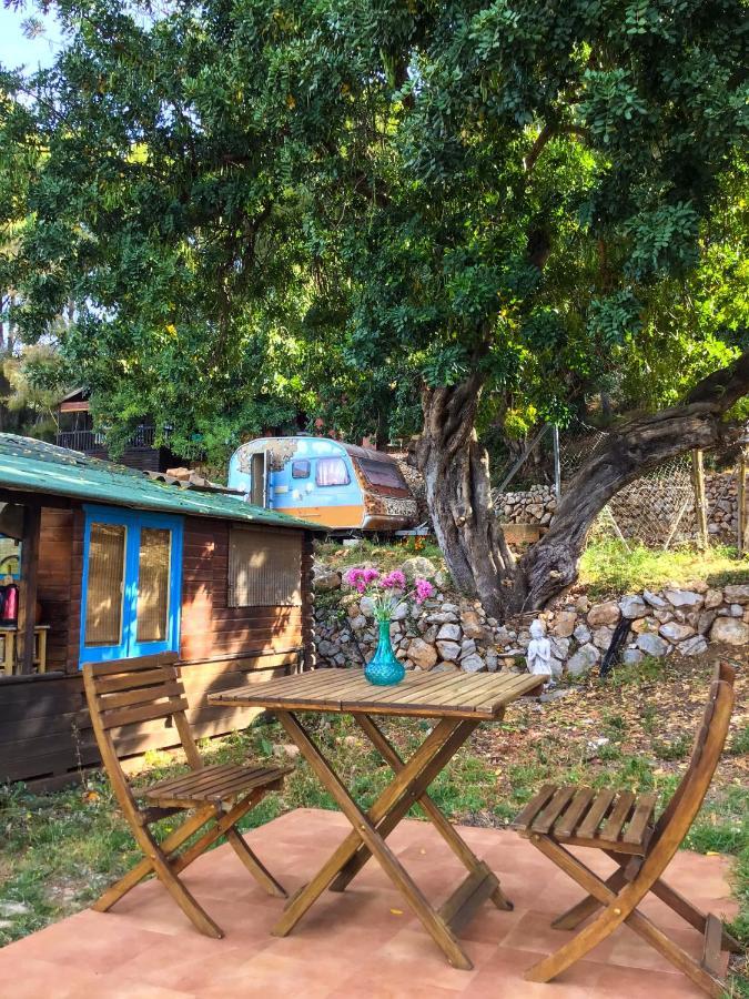 India Cabin En Casa Del Paso Chalet Alicante