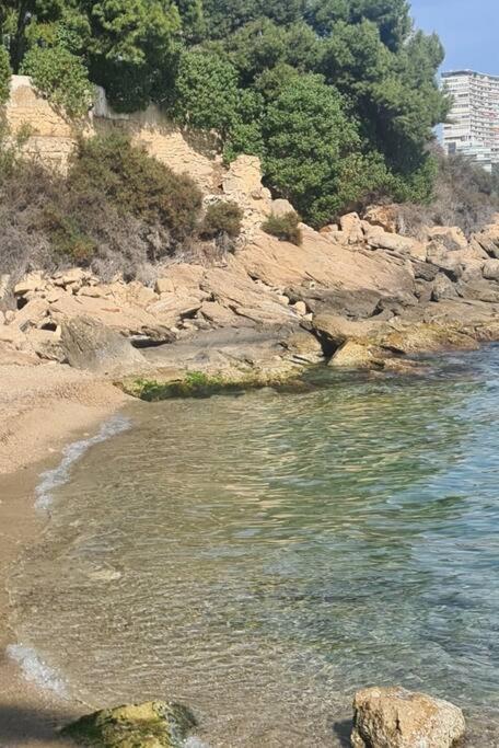 Apartment Loft Con Acceso A La Playa Alicante