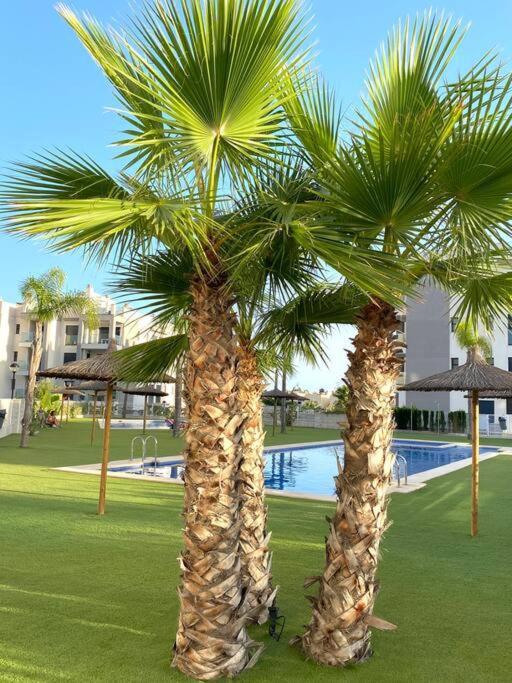Villamartin Spacious Modern Flat -3 Pools Jacuzzi Tennis Golf * Alicante