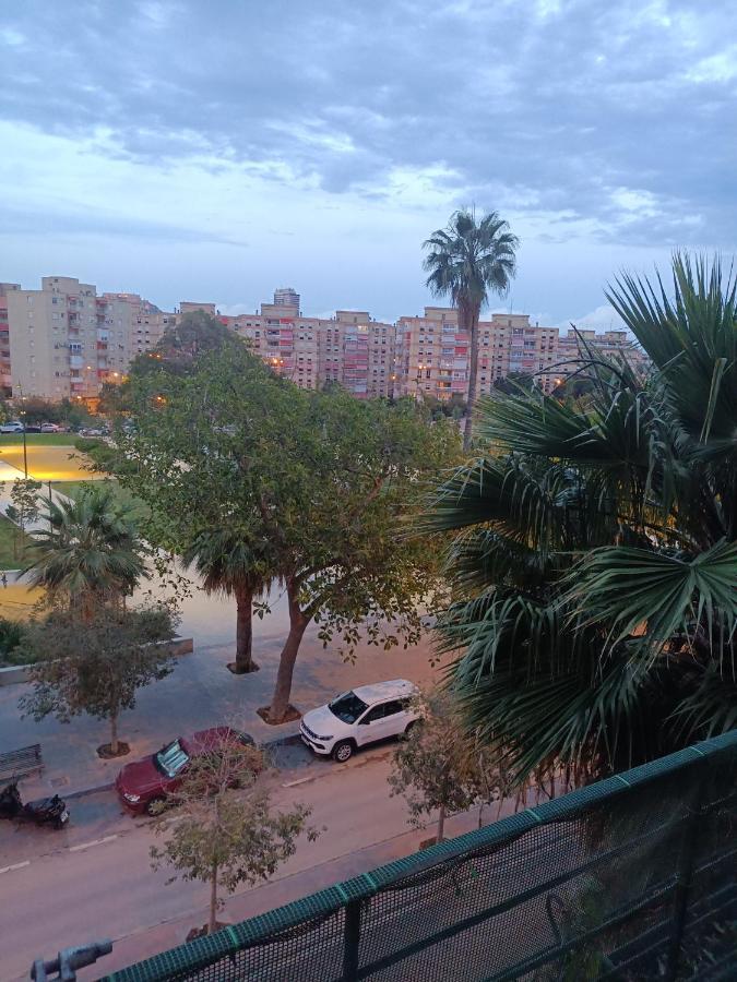 Comfortalicante
