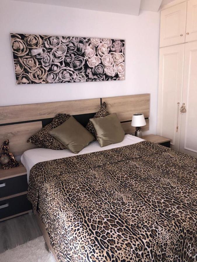 Apartment Gran Partamiento En