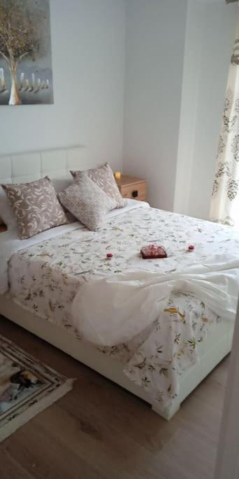 Casa Vina Appartement Alicante