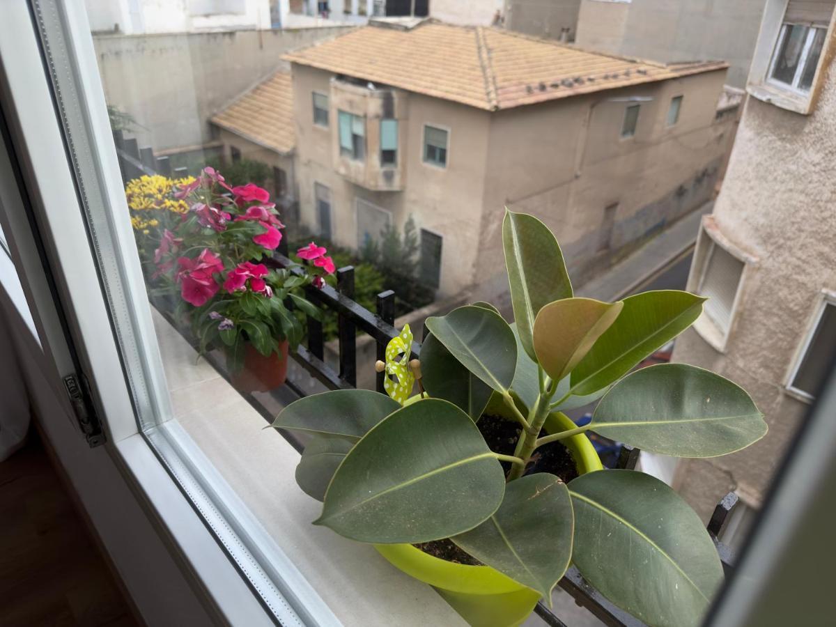 Appartement Antonio *