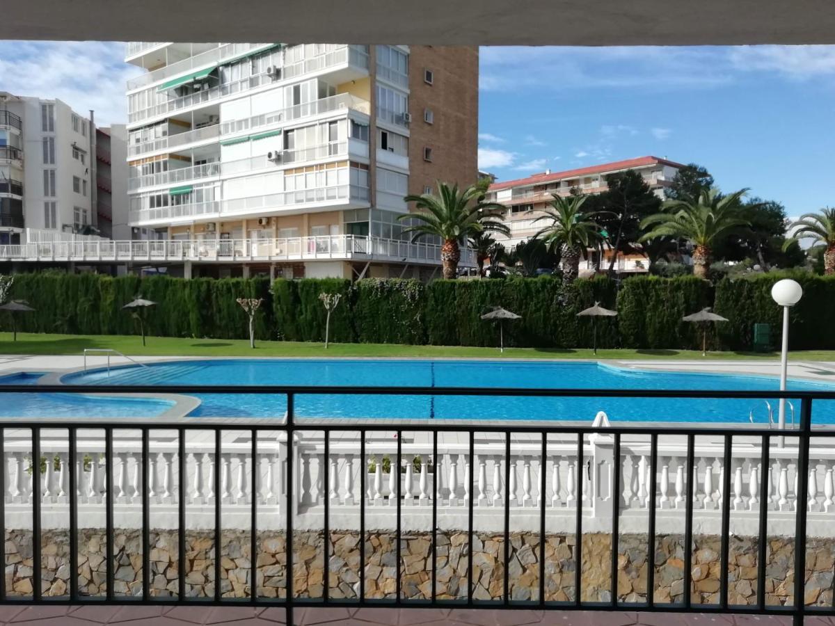 Apartment 1a Linea Con Piscina-playa La Albufereta Alicante