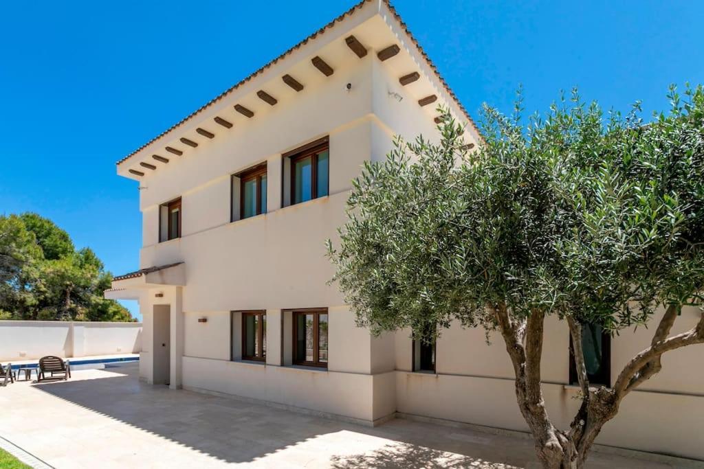 Irene: Beachfront Luxury With Sea Views And Private Pool Alicante