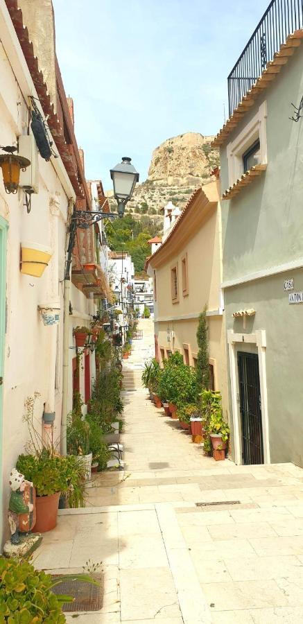 El Barrio , Playa Y Casco Antiguo * Alicante