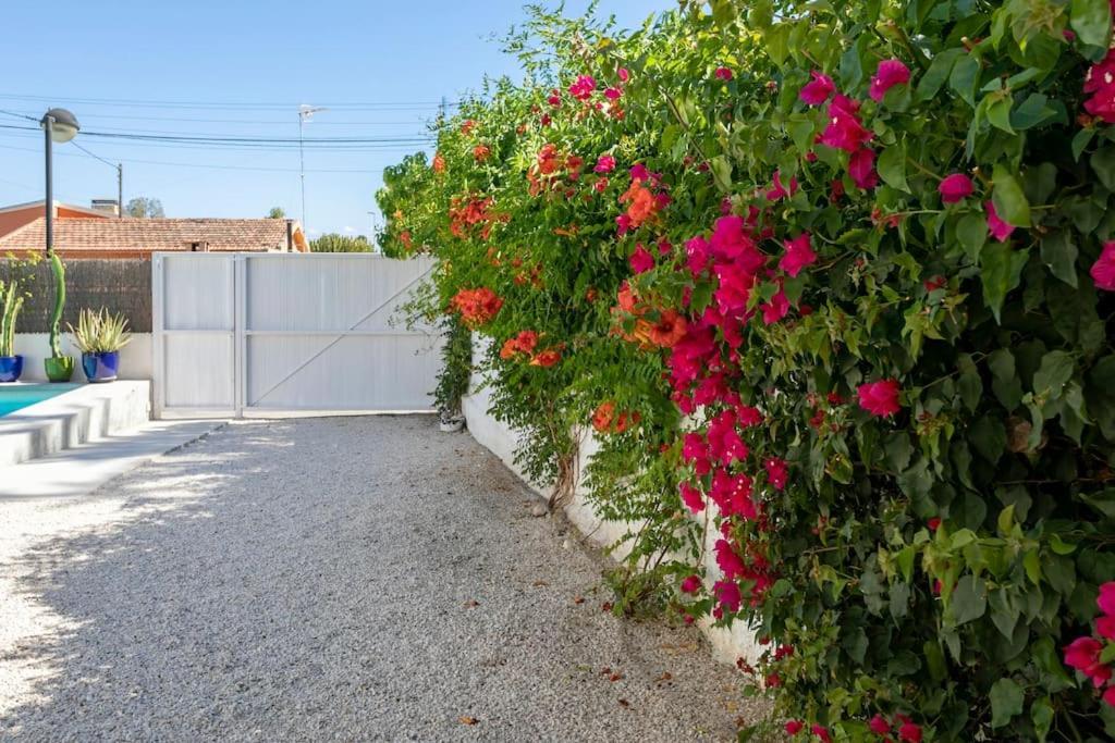 Paloma With Private Pool, Located 350m To The Sea And Tram Station! *