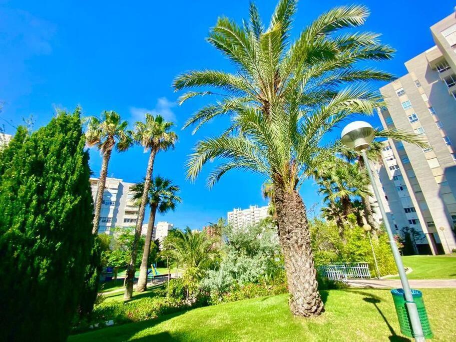 Villamar 5 Inmo Leo Playa De San Juan Piscina Parking Wifi Alicante