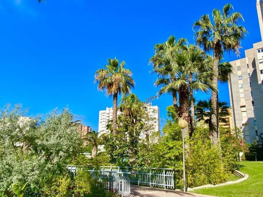 Apartamento Villamar 5 Inmo Leo Playa De San Juan Piscina Parking Wifi *