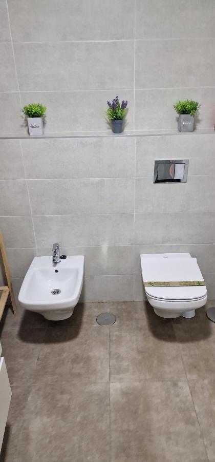Apartamento Estudio En Centro De Alicante