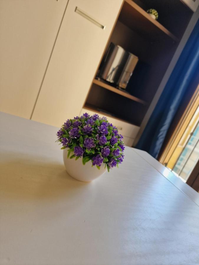 Estudio En Centro De Apartamento