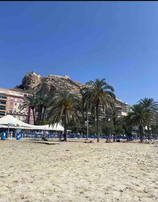 Charming & Spacious In Historic Centre & Short Walk To Apartment Alicante